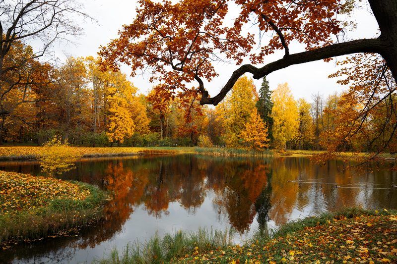 Очей очарованьеphoto preview