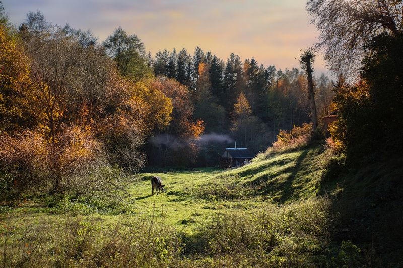 д.Полочанка недалеко от Минскаphoto preview