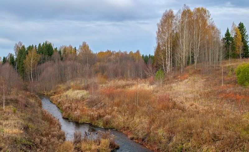 осень, октябрь, увалы, речка, кырмыжка, листья, берёзы, рыжая осень Рыжаяphoto preview
