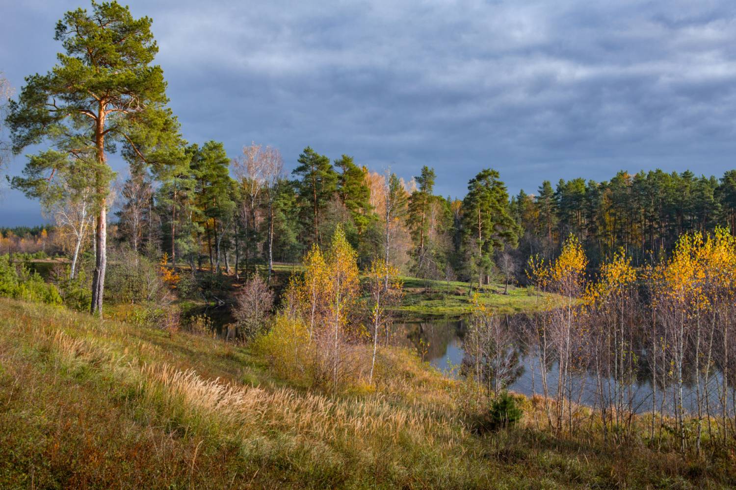 Погожий денёк. Саврасово.. Автор: Алексеев Дмитрий октябрь осень саврасово озеро свет отражение, Алексеев Дмитрий