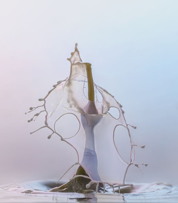 #drop, #milk, #liquid, #colors, #water, #macro Drops фото превью