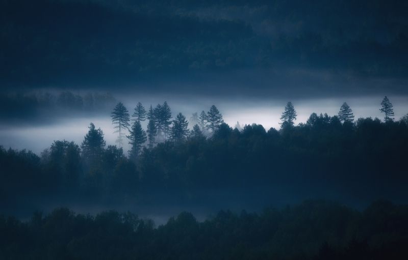 Туманным утром сентябряphoto preview