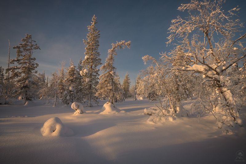 зима, солнце, снег, рассвет, кольский, мурманская, сопки, фототур на кольский Снежный мир сопок фото превью