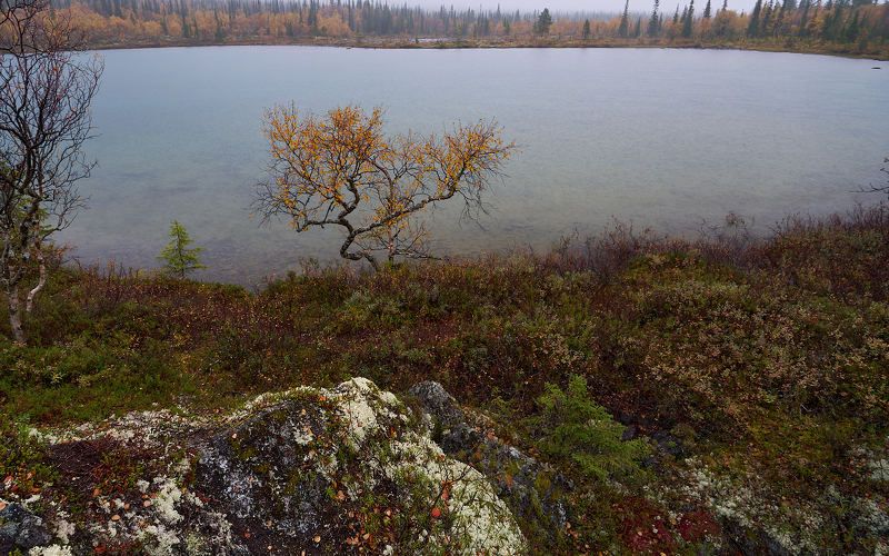 Хибины, пасмурно, осень Хибины фото превью