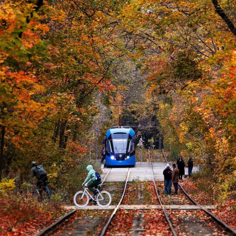 Трамвай. Осень Осенний трамвайphoto preview