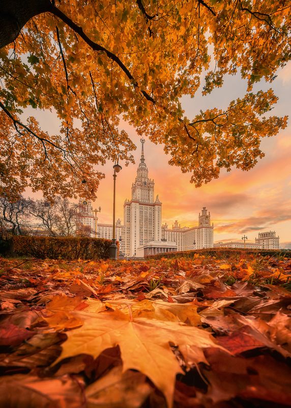 могу. золотая осень, Москва, autumn, moscow МГУ фото превью