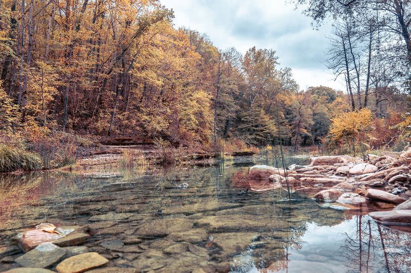 Палитра осениphoto preview
