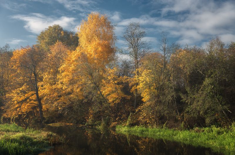 Осень фото превью