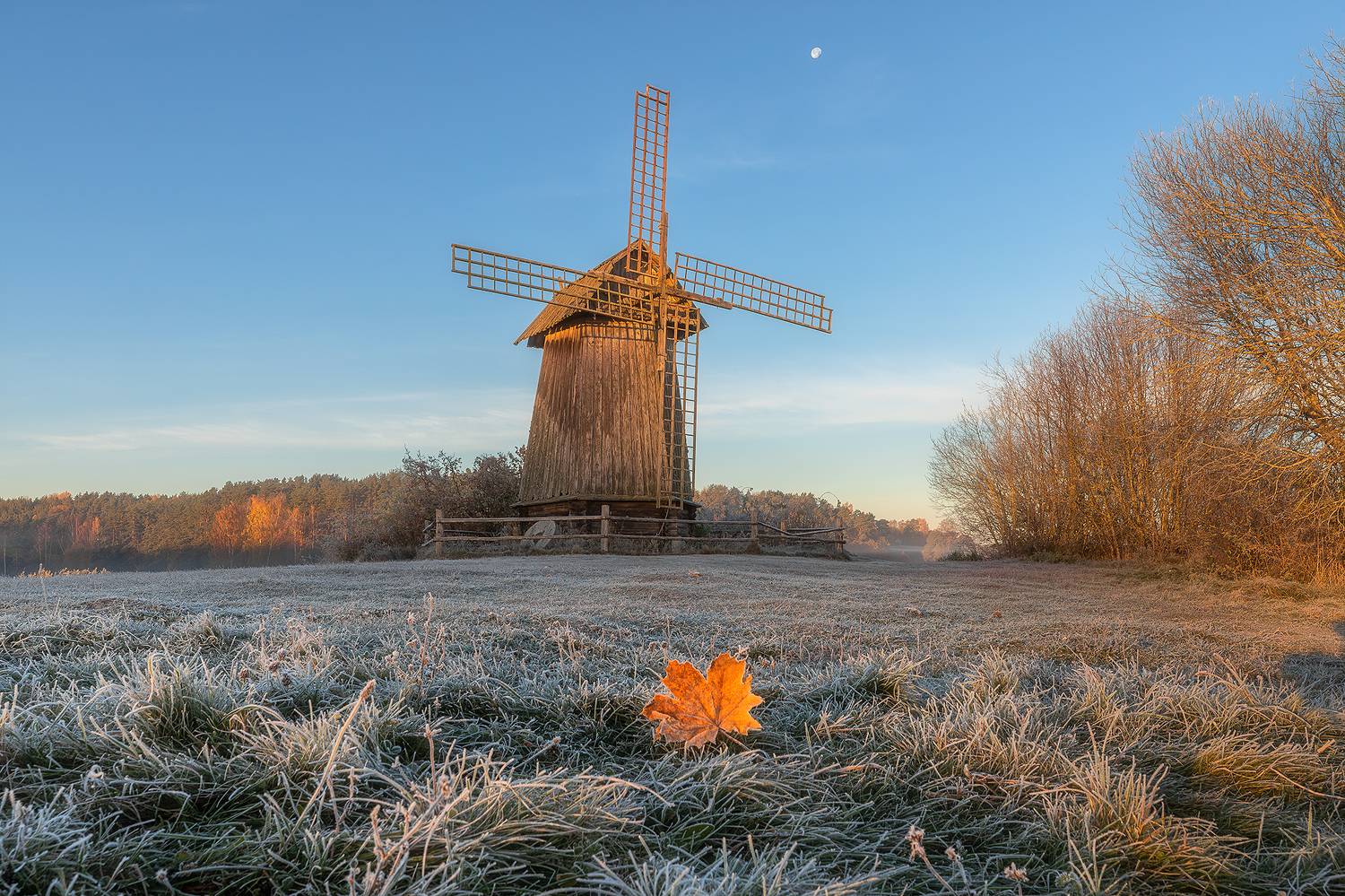 фототур, туризм, псковская область, пушгоры, обучение фотографии, осенний тур, октябрь, михайловское, мельница,, Alexander Pashenichev