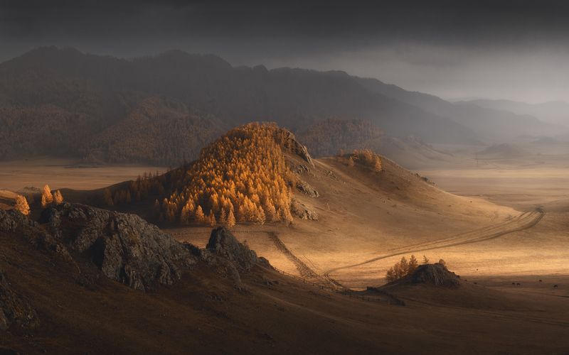 После дождяphoto preview