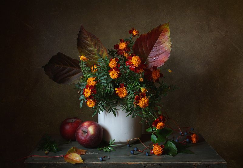 натюрморт, цветы, бархатцы бархатный сезон фото превью