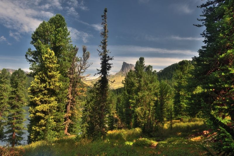 Саяныphoto preview