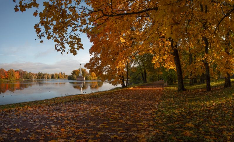 питер, пушкин, царское село, царское,  landscape, tsarskoye selo, autumn,  городской пейзаж, санкт-петербург, рассвет Утро в Екатерининскомphoto preview