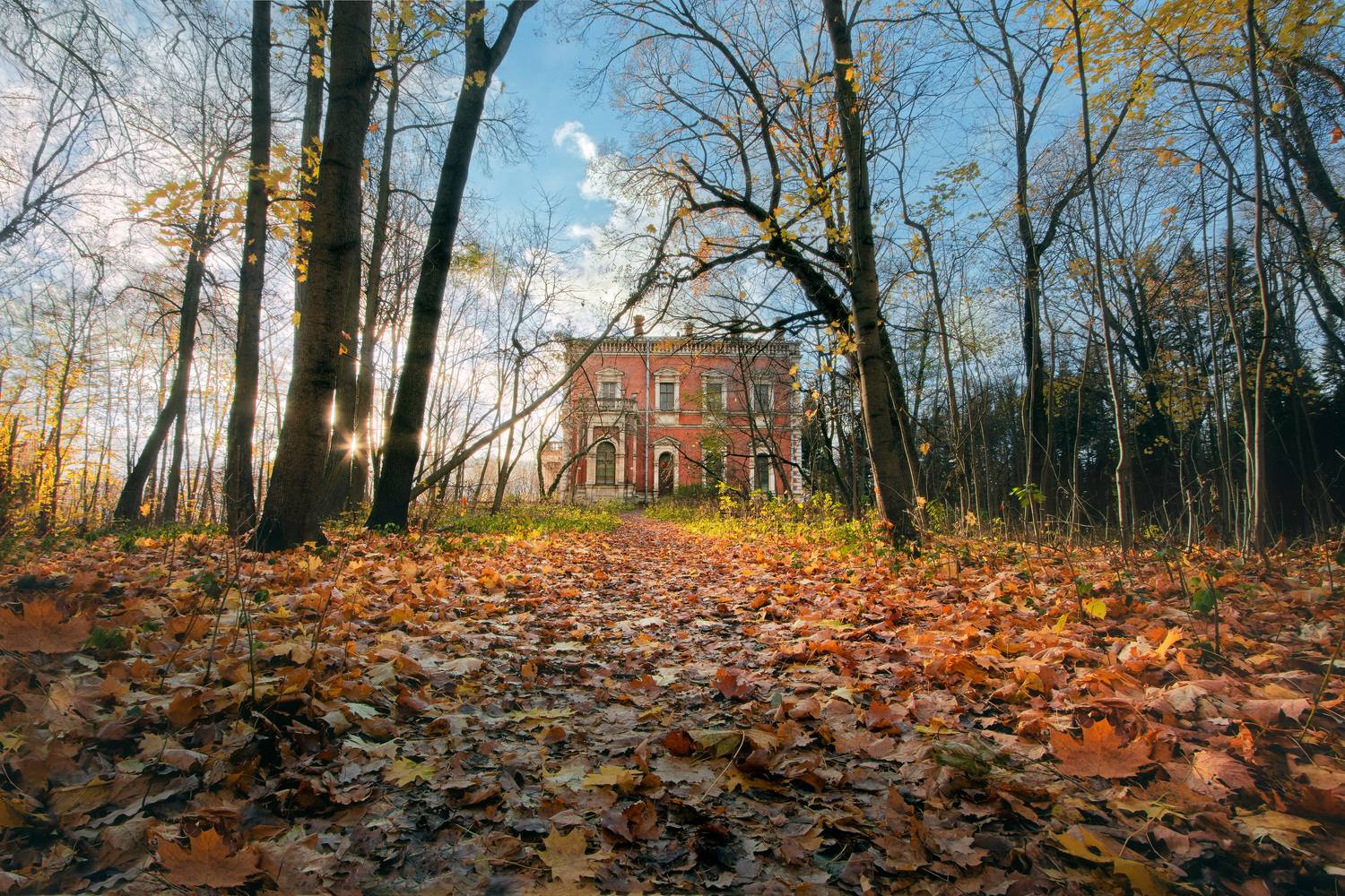 В заброшенном парке. Автор: Валерий Вождаев осень, листва, осень, усадьба, Валерий Вождаев