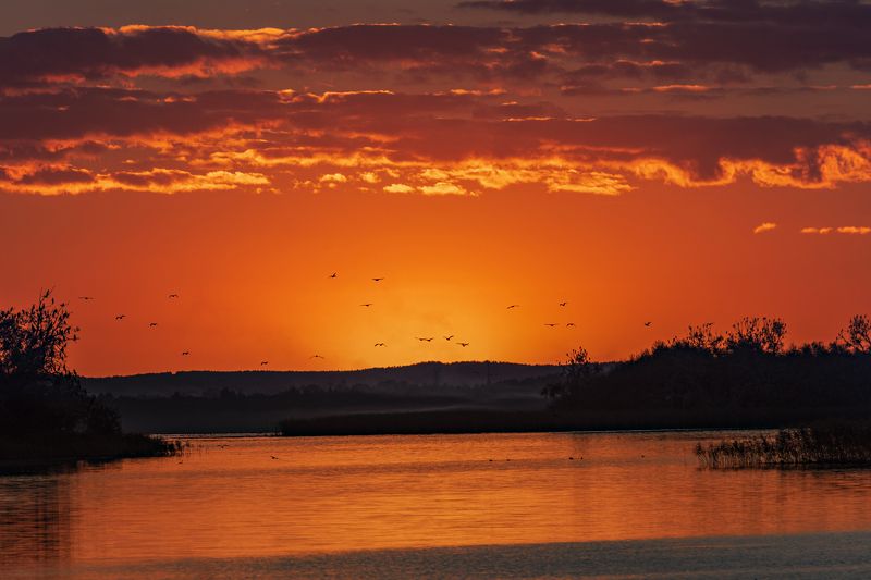 Снова птицы в стаи собираются...photo preview