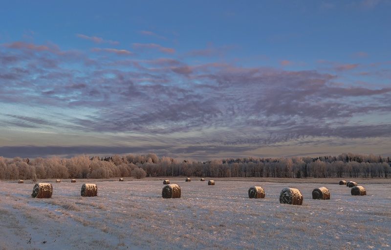 Рулетки в сахарной пудреphoto preview