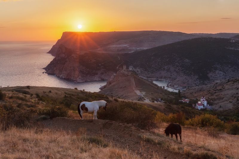 крым, балаклава,лошадь, лошади, закат, севастополь, осень, пейзаж, море, горы Балаклава и лошадкиphoto preview