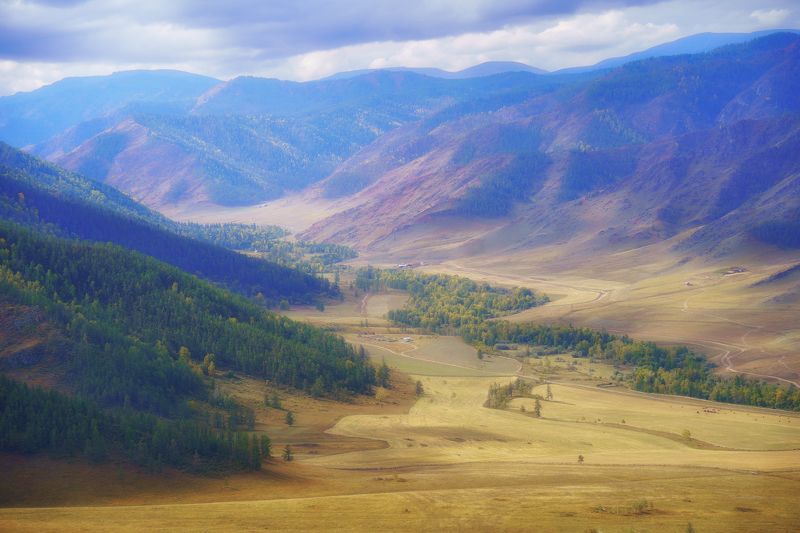 алтай  осень цвет багрянец золото лес горы пейзаж красота Цветной Алтайphoto preview