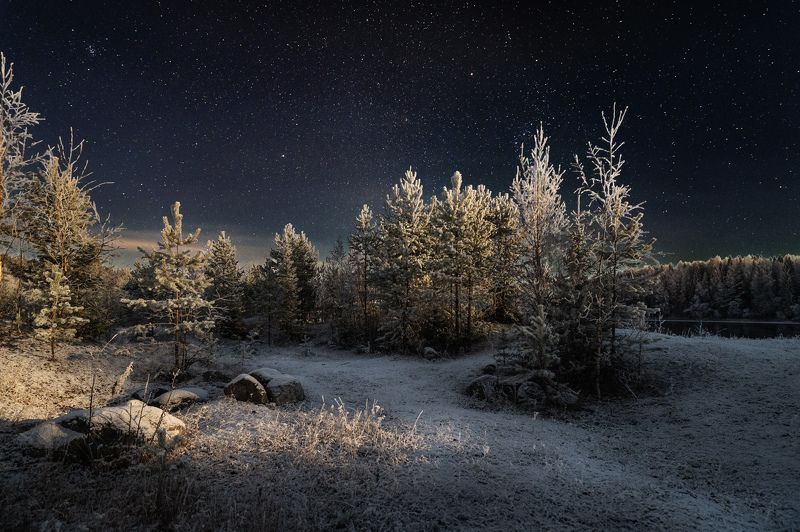 Первый снег в свете луныphoto preview