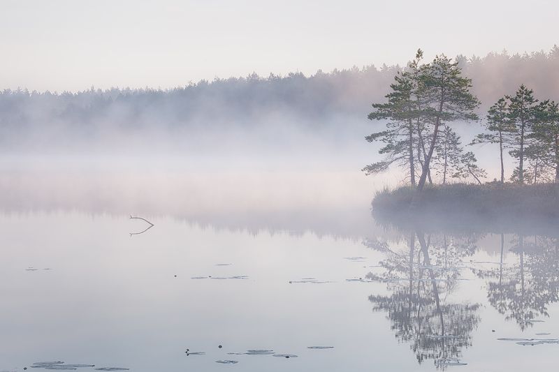 Утроphoto preview