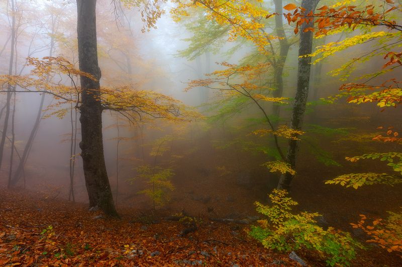 Крымская осеньphoto preview