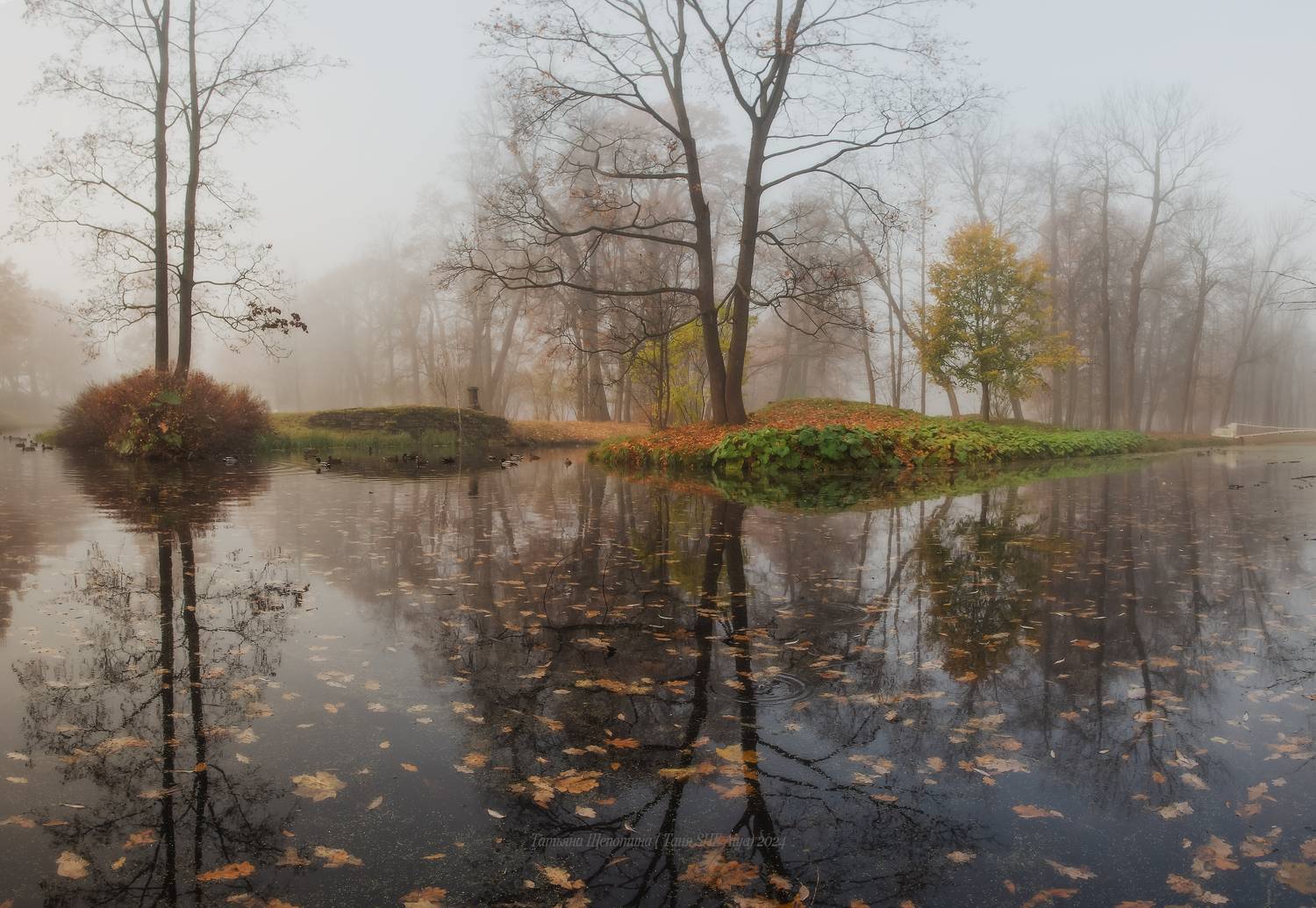 питер, пушкин, царское село, царское,  landscape, tsarskoye selo, autumn, туман, городской пейзаж, санкт-петербург, закат, александровский парк, Щепотина Татьяна