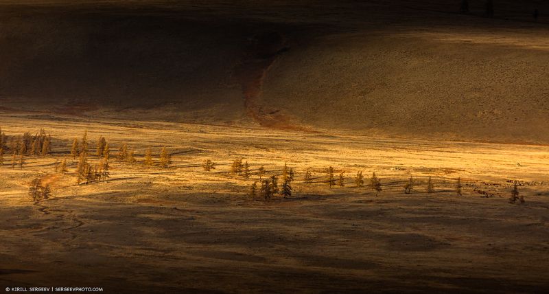 природа, пейзаж, панорама, алтай, сибирь, россия, курайская степь, горный алтай, природа, осень, время года, алтайский край, степь, nature, landscape, panorama, altai, siberia, russia, mountain altai, autumn, season, altai region, steppe, nature Растекалось золото | The gold was spreading фото превью