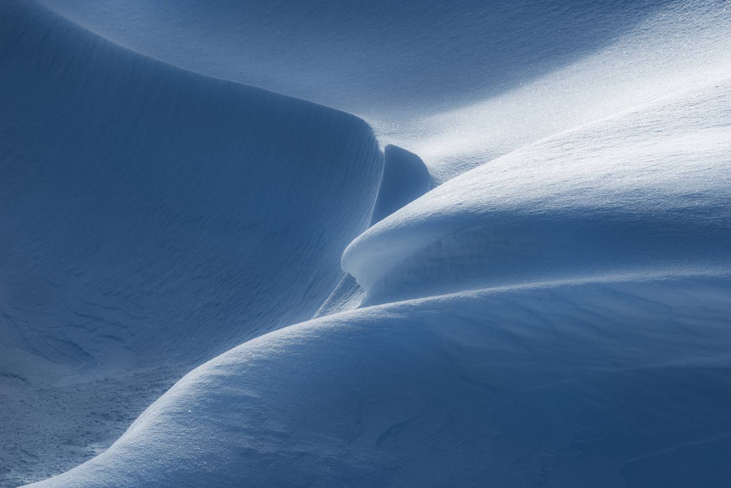 Coiled. Автор: Szabo Zsolt Andras , Szabo Zsolt Andras