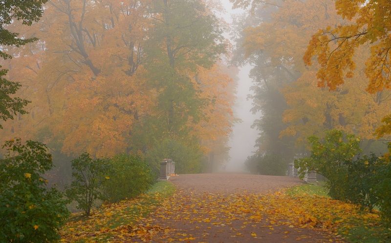 Morning in Octoberphoto preview