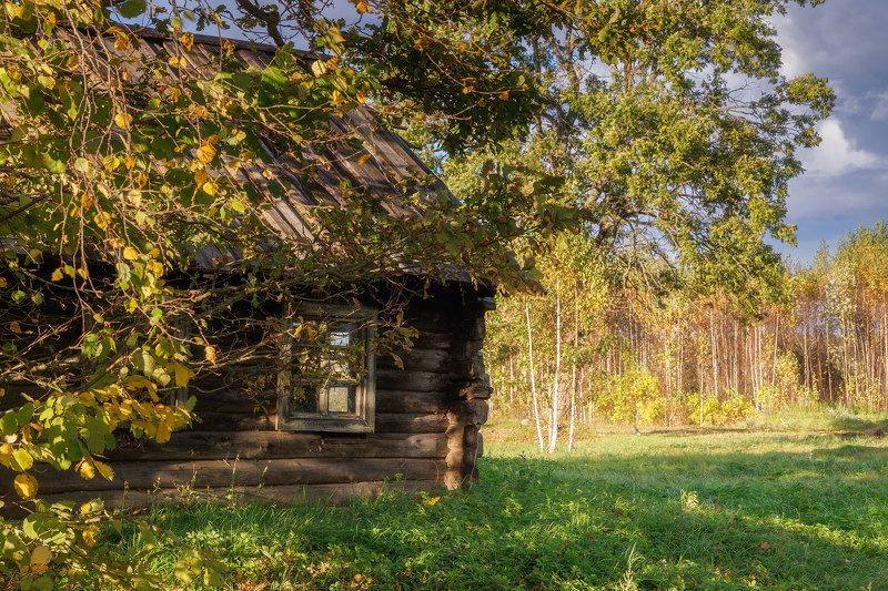 Избушка на опушкеphoto preview