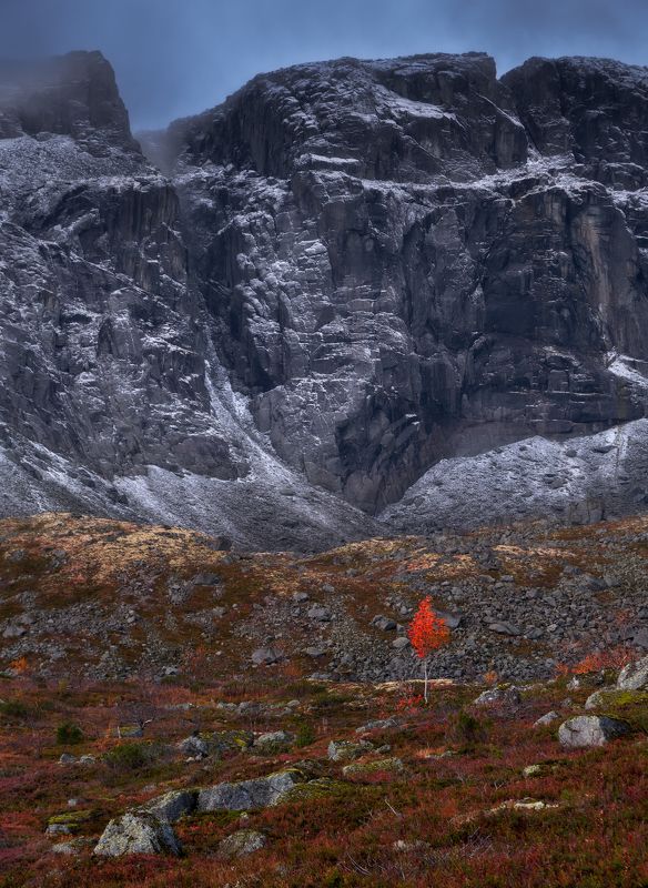 Краски осениphoto preview