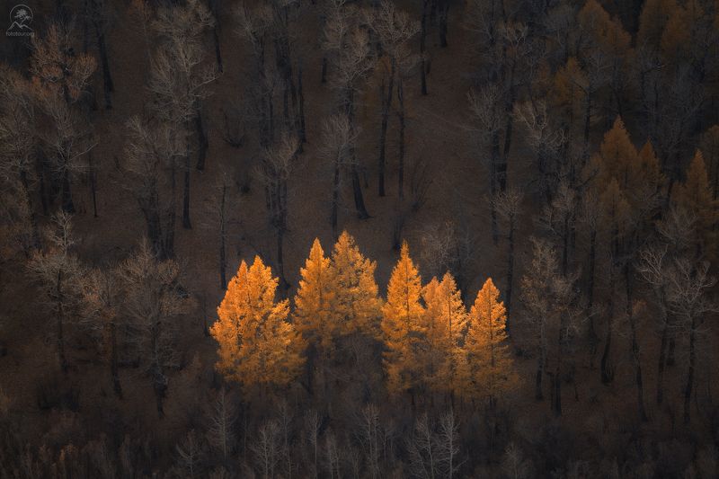 алтай, фототур по алтаю, осень, горы, горный алтай, республика алтай, чаган-узун СВЕТЛЯЧКИphoto preview