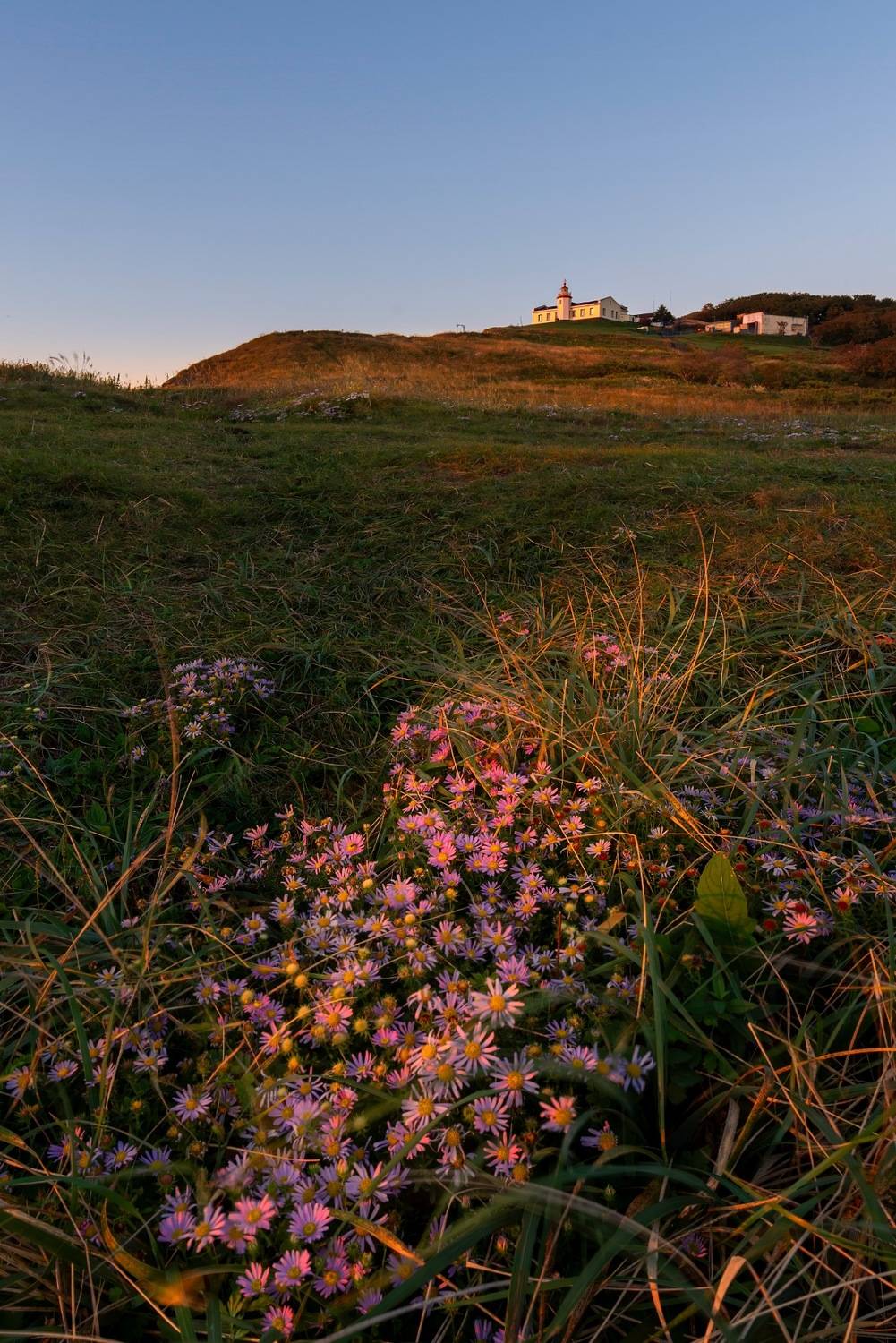 Автор: Ширгин Сергей , Ширгин Сергей