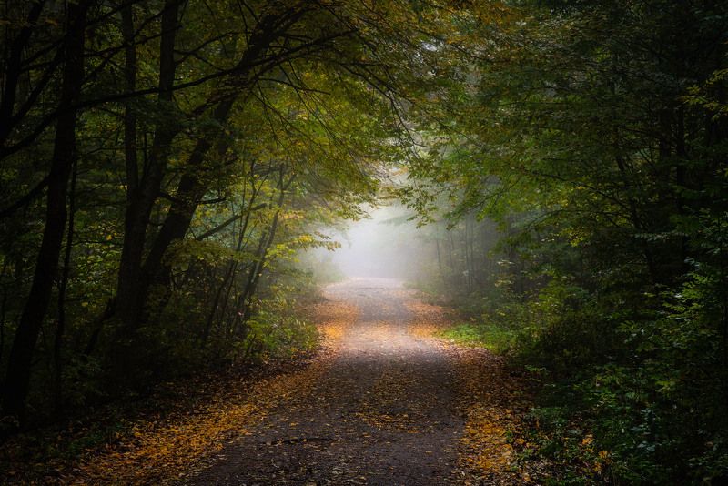 Портал в осень photo preview