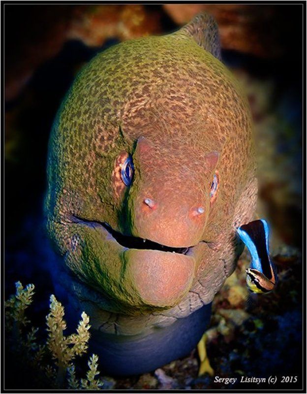 Подозрительная личность.photo preview