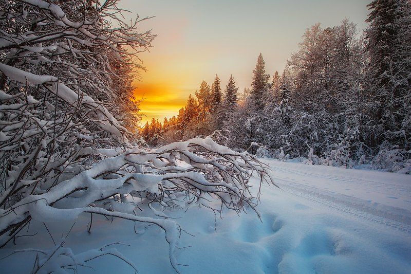 Russian North: Kola Peninsula.photo preview