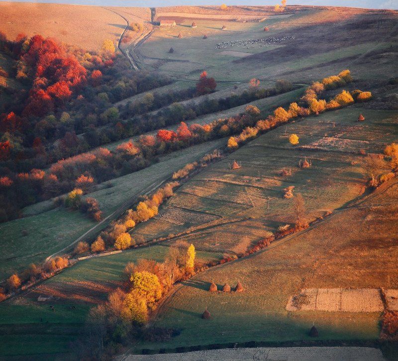 Вечер, Горы, Закат, Карпаты, Ноябрь, Осень, Украина Догорал осенний деньphoto preview