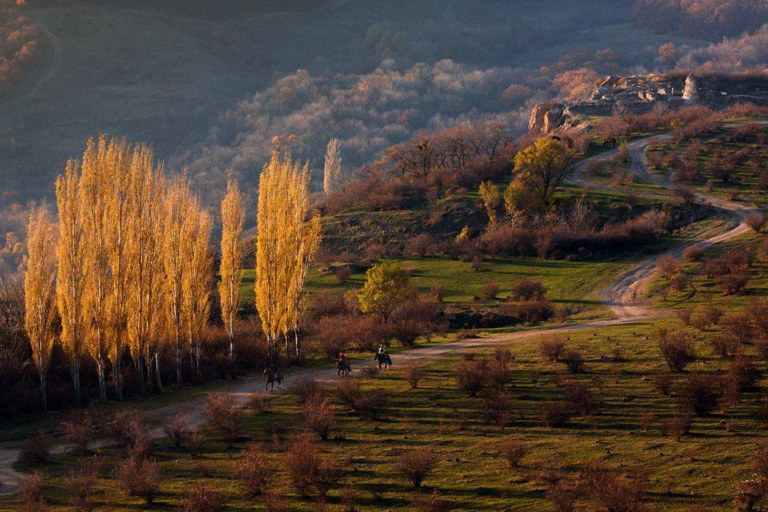 , Бруно Томский