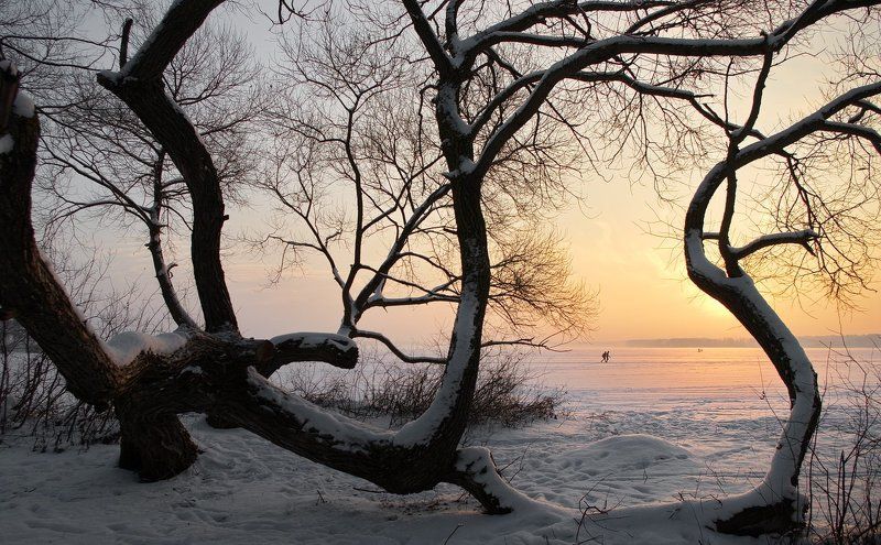 ... к свету ...photo preview