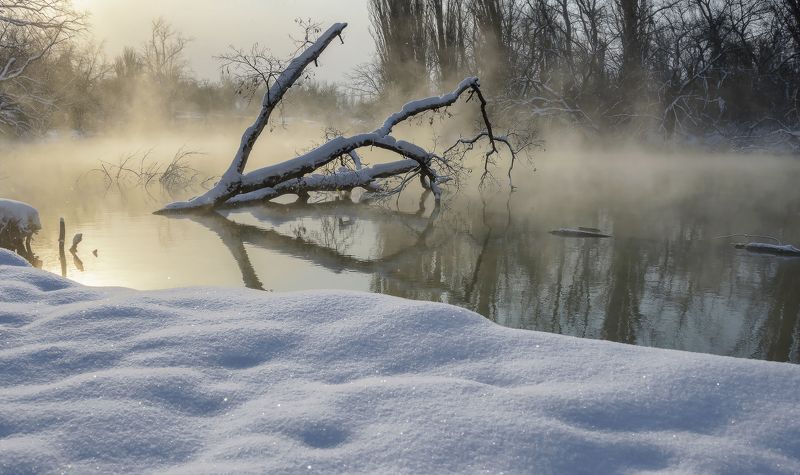 Январским утромphoto preview