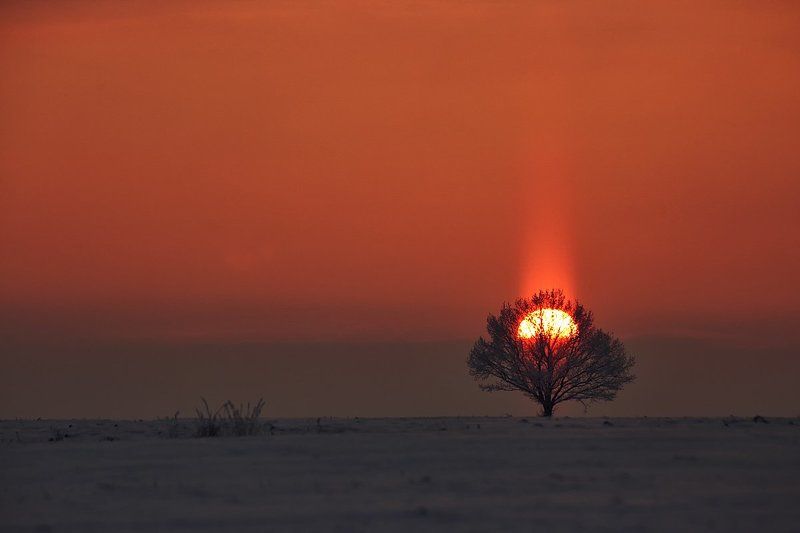 пылающийphoto preview