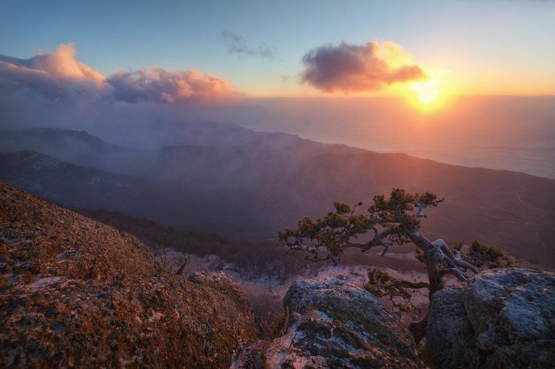 Новогоднее утроphoto preview