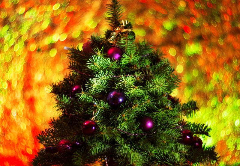 елка солнечное рождествоphoto preview