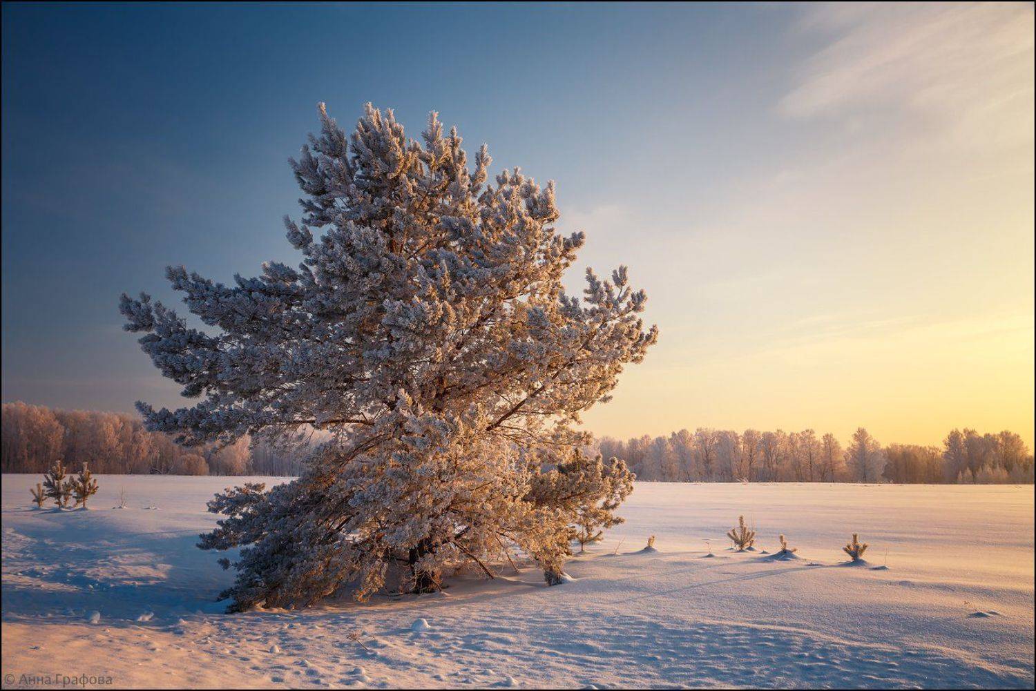 аня графова, мороз, нсо, утро, Аня Графова