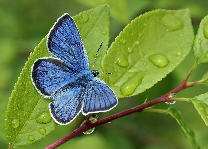 после теплого дождяphoto preview