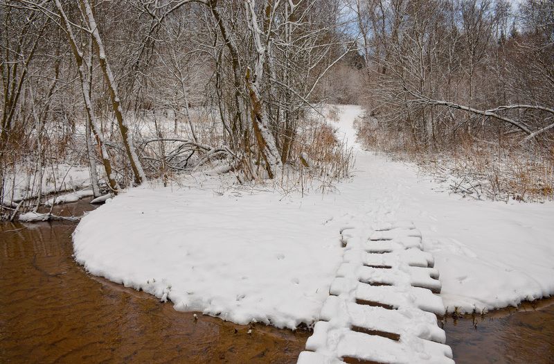 2015 год, белый, вода, декабрь, зима, лес, московка, одинцово, пасмурно, природа, река, саминка, снег, снежно Один день зимыphoto preview