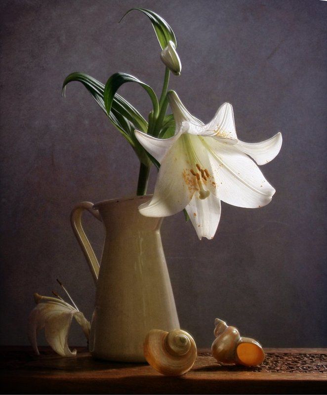 Лилия, Натюрморт, Фотонатюрморт photo preview