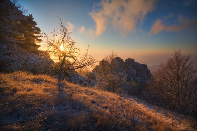 Новогодний рассветphoto preview