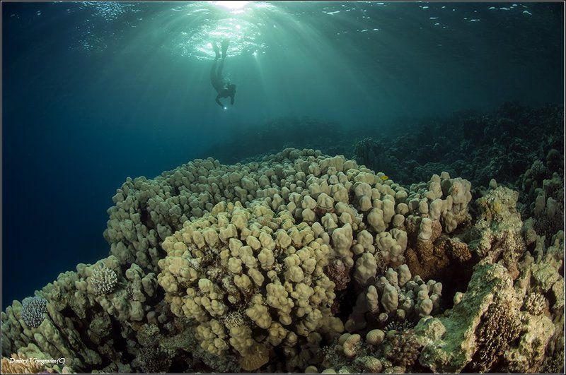 Погружениеphoto preview