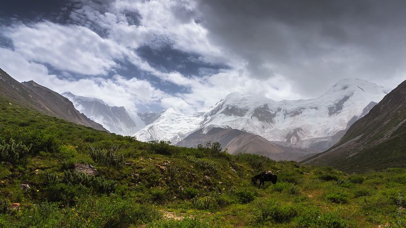 Мраморная Стенаphoto preview